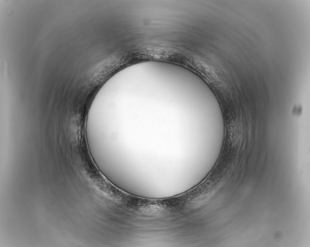 X0000093570594200710291041