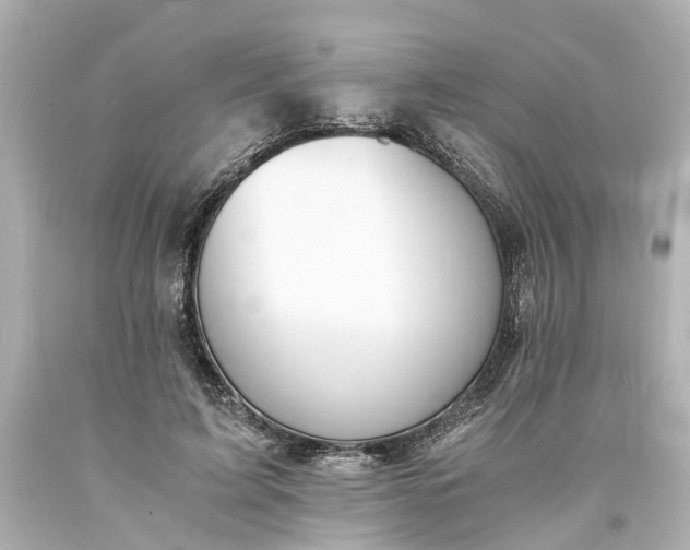 X0000093570595200710291041