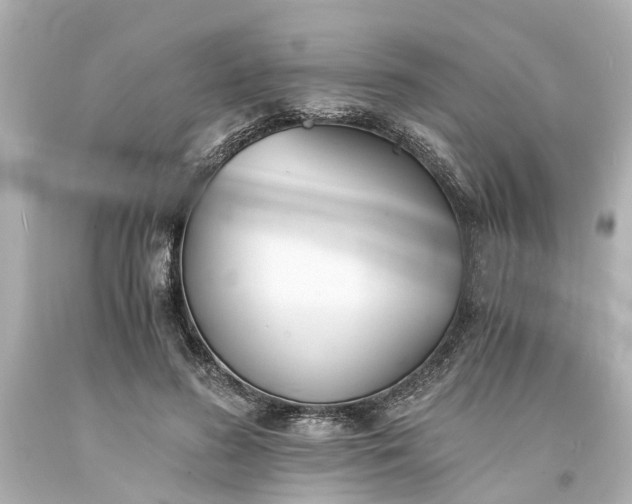 X0000093570596200710291041