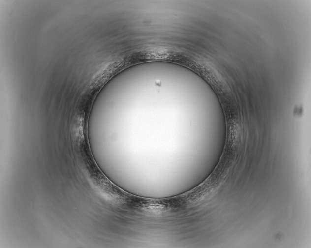 X0000093570598200710291041