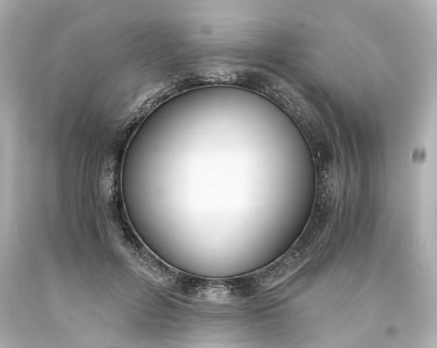 X0000093570600200710291041