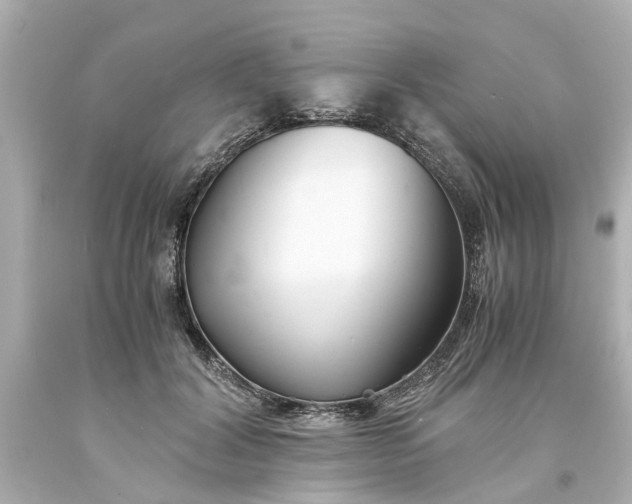 X0000093570604200710291041