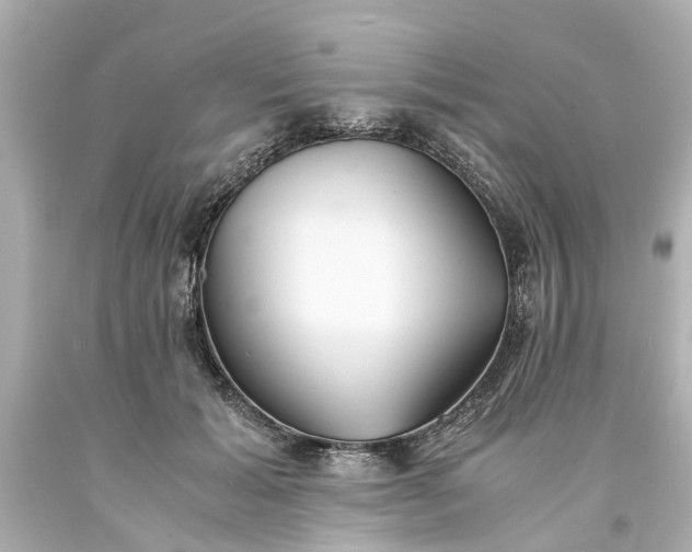 X0000093570605200710291041