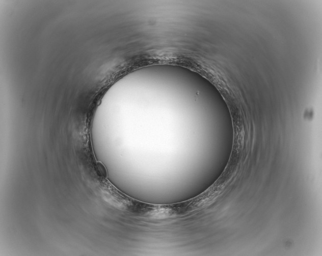 X0000093570609200710291041