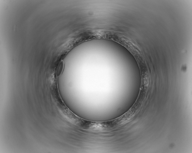 X0000093570611200710291041