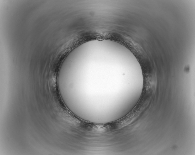X0000093570613200710291041