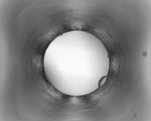 X0000093570616200710291041