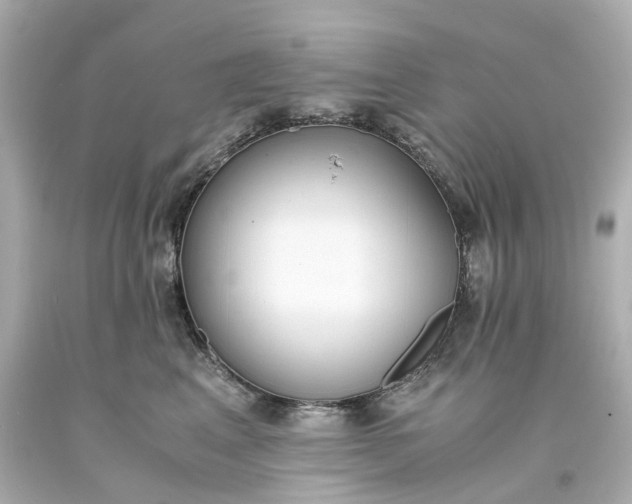 X0000093570617200710291041