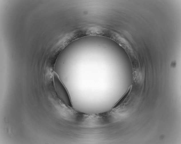 X0000093570621200710291041