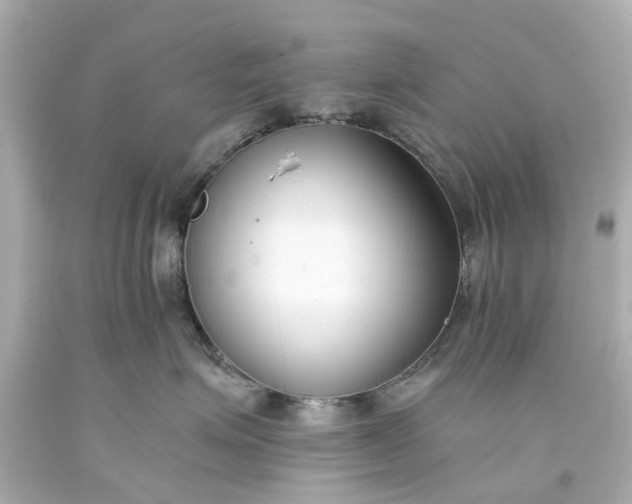 X0000093570623200710291041