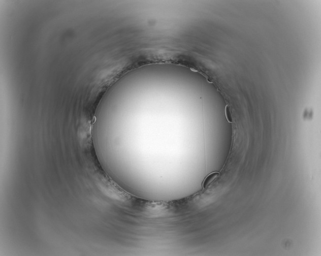 X0000093570624200710291041