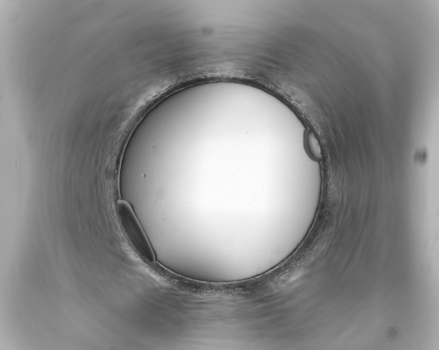 X0000093570625200710291040