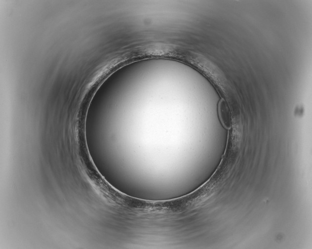 X0000093570626200710291040