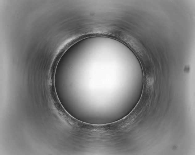 X0000093570628200710291040