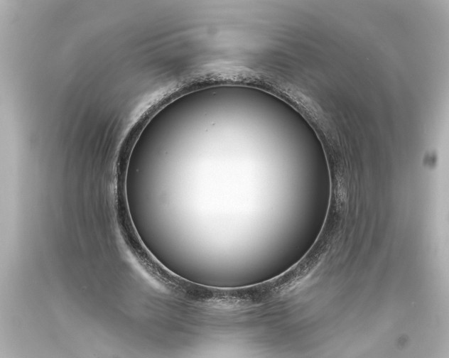 X0000093570630200710291040