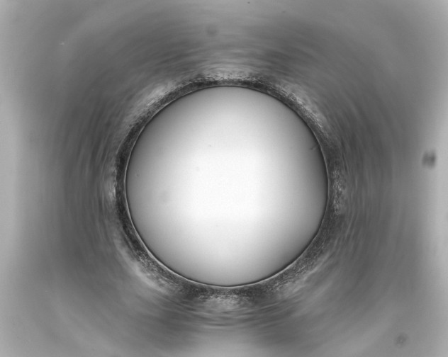 X0000093570631200710291040