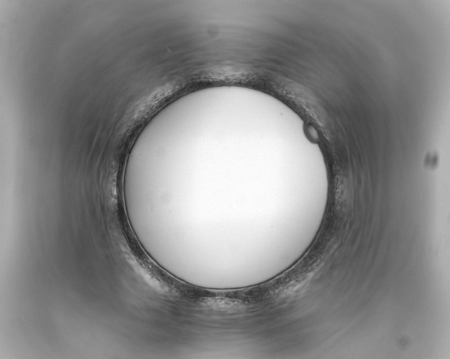 X0000093570633200710291040