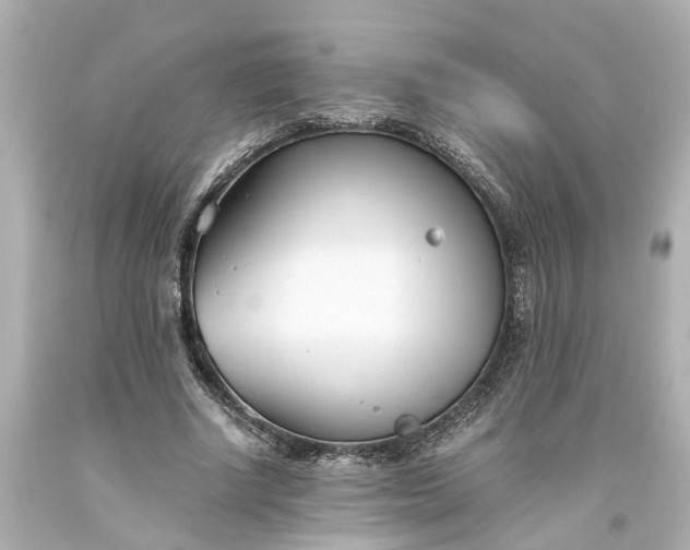 X0000093570634200710291040