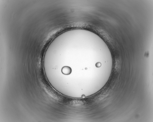X0000093570636200710291040