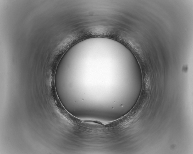 X0000093570637200710291040