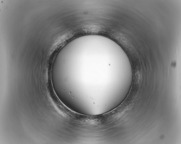 X0000093570638200710291040
