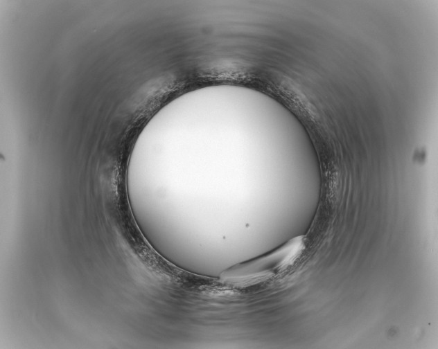 X0000093570643200710291041