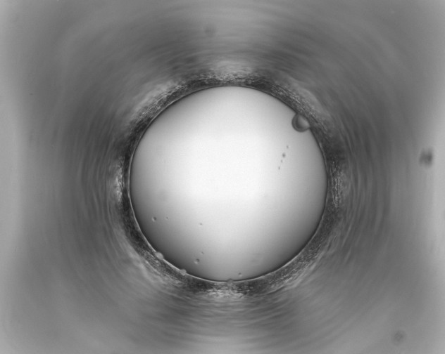 X0000093570644200710291041