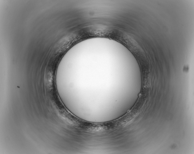 X0000093570646200710291041