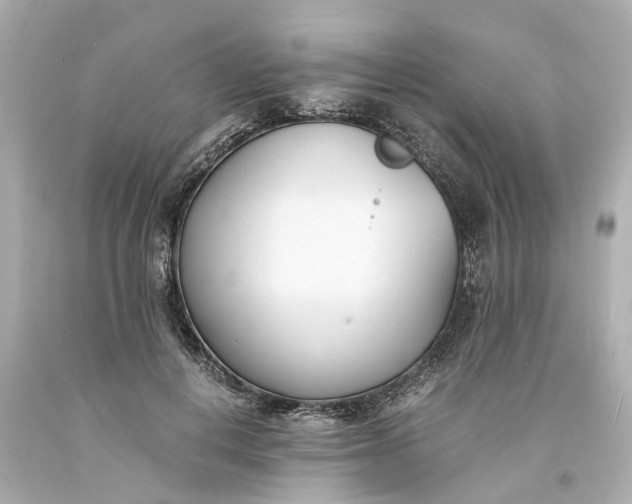 X0000093570648200710291041