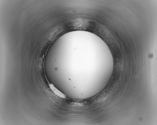X0000093570649200710291041