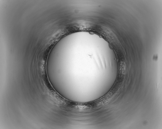 X0000093570650200710291041