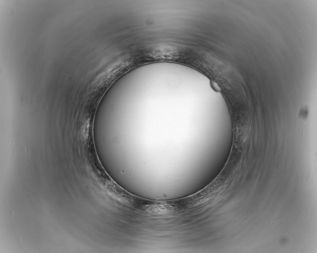 X0000093570652200710291041