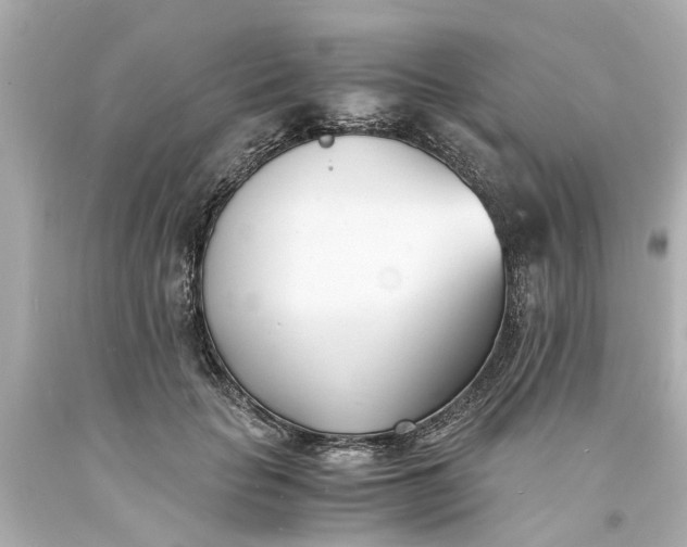 X0000093570653200710291041