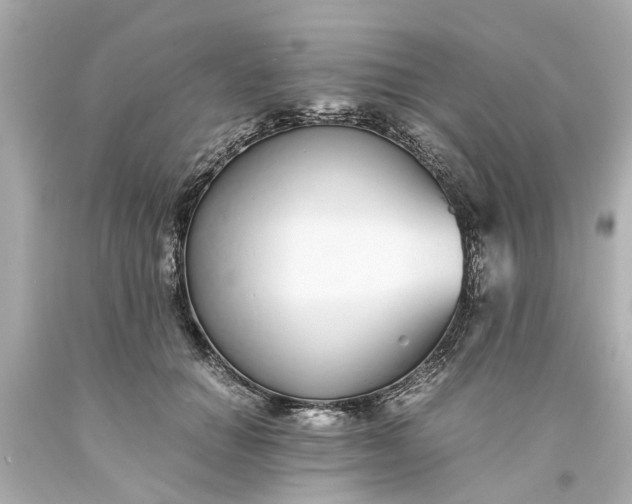 X0000093570654200710291041