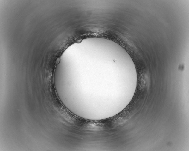 X0000093570657200710291041