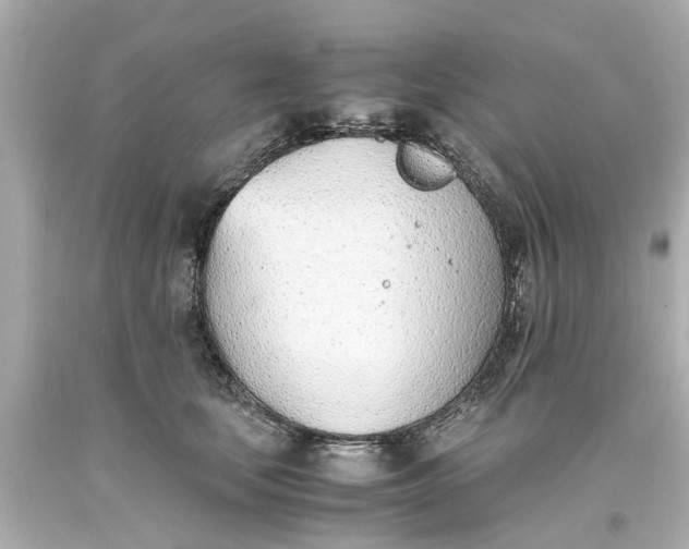 X0000093570659200710291041