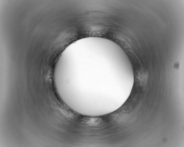 X0000093570663200710291041