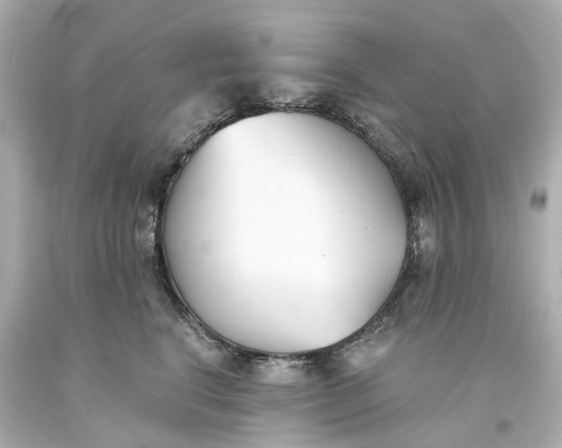 X0000093570664200710291041