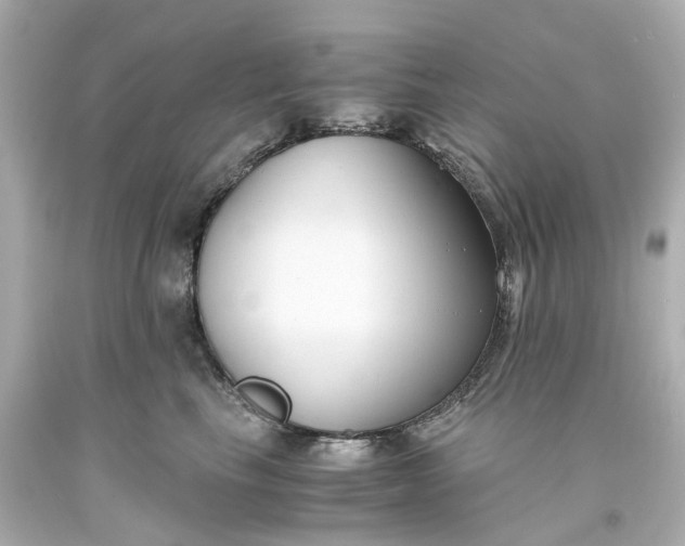 X0000093570665200710291041