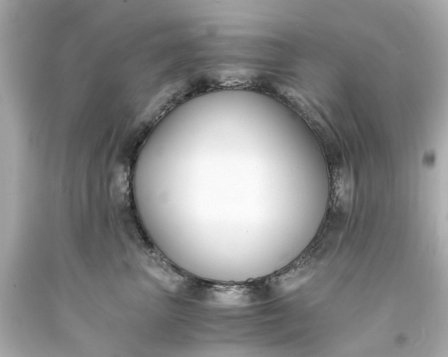 X0000093570667200710291041