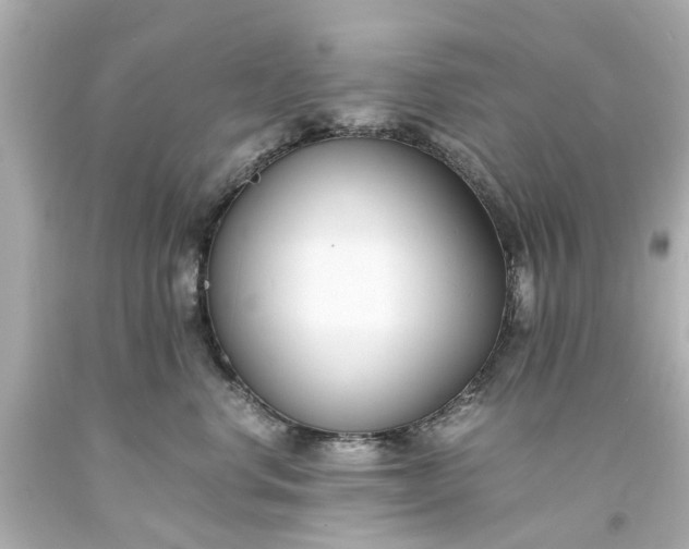 X0000093570668200710291041