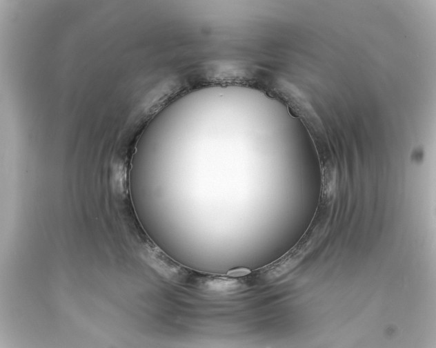 X0000093570669200710291041