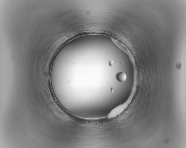 X0000093570673200710291040