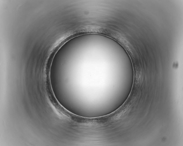 X0000093570674200710291040