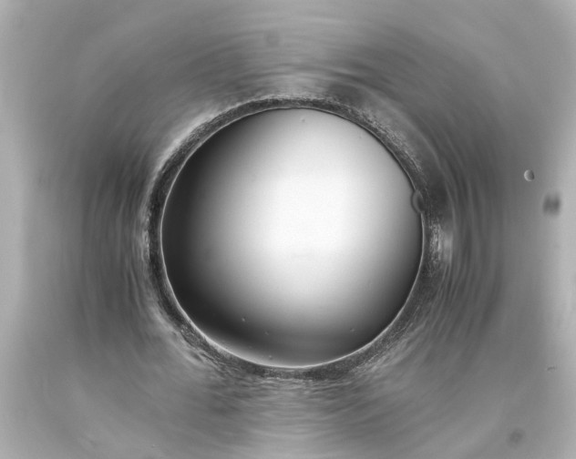 X0000093570676200710291040