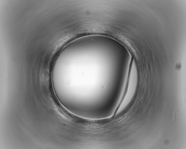 X0000093570677200710291040