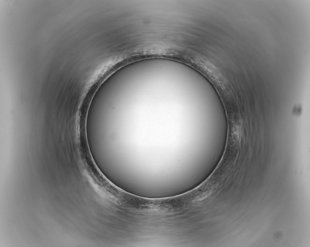 X0000093570678200710291040