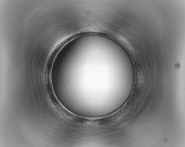 X0000093570680200710291040