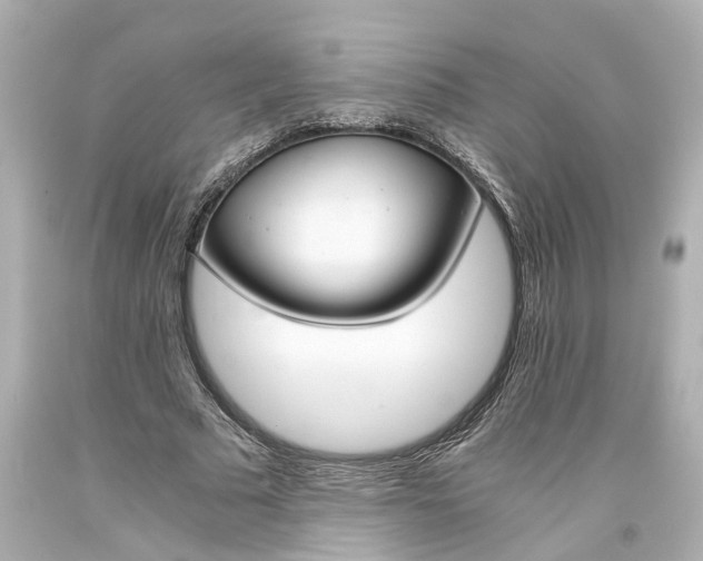 X0000093570681200710291040