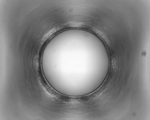 X0000093570682200710291040